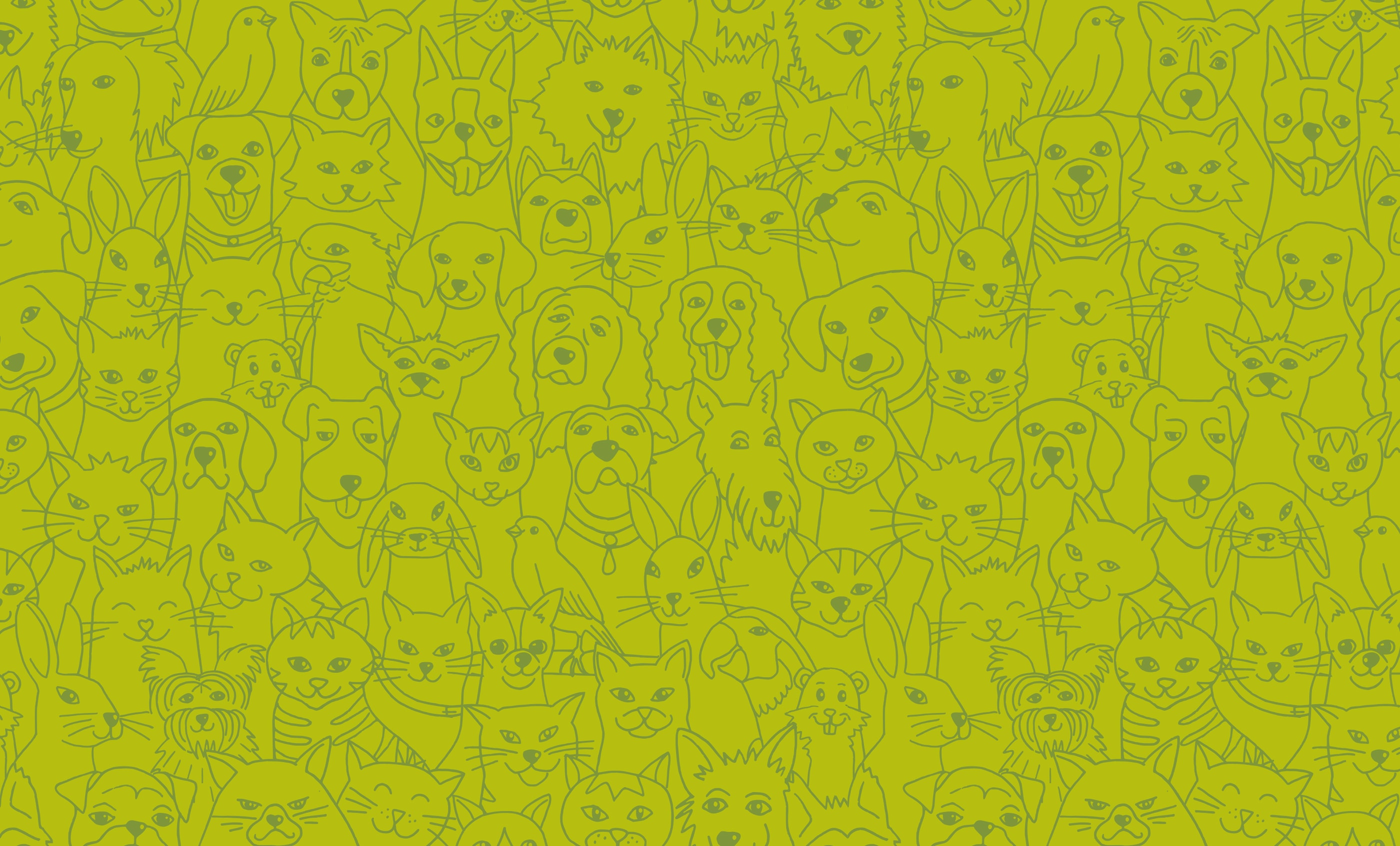 Pattern of Illustrated Animals