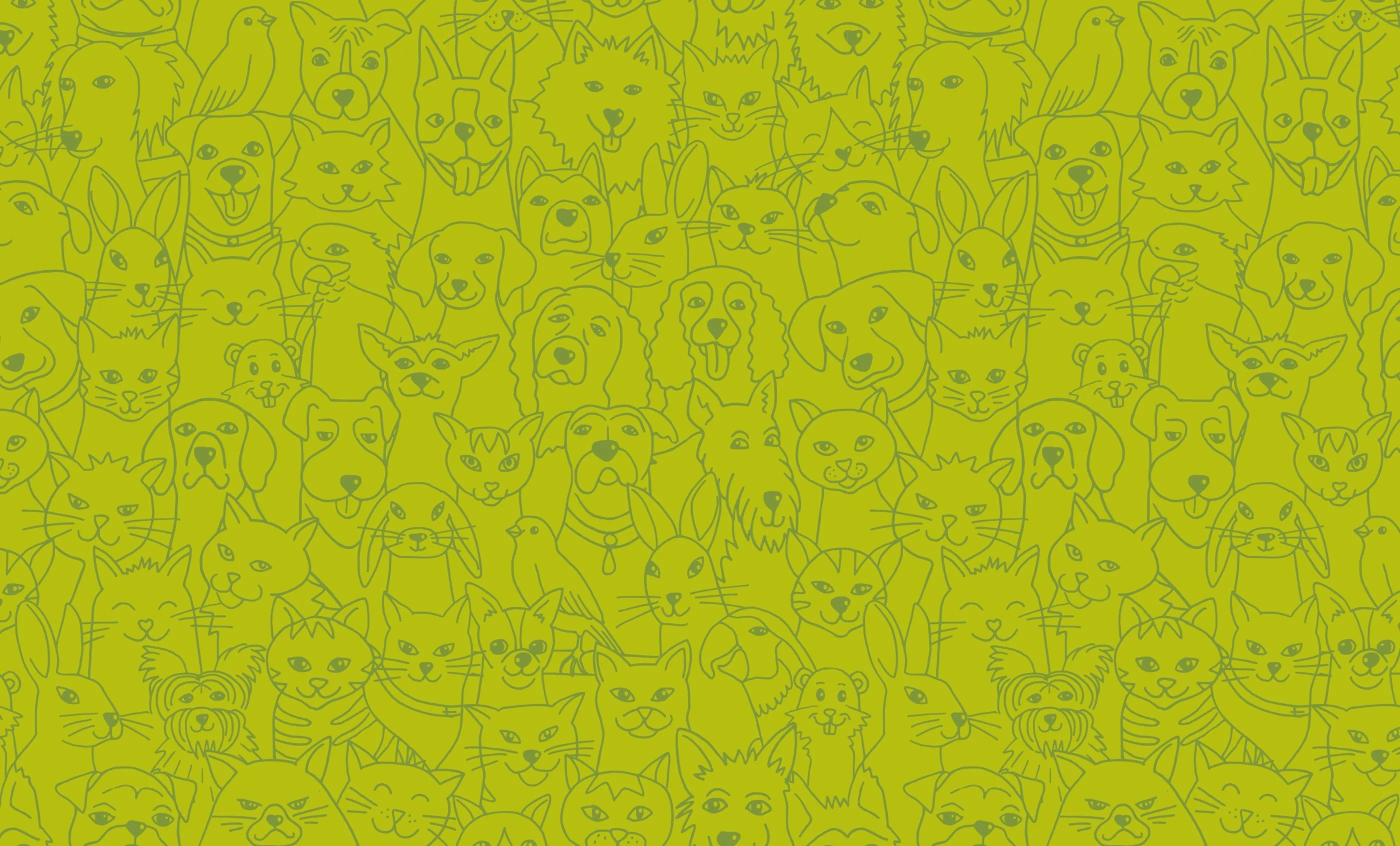 Pattern of Illustrated Animals