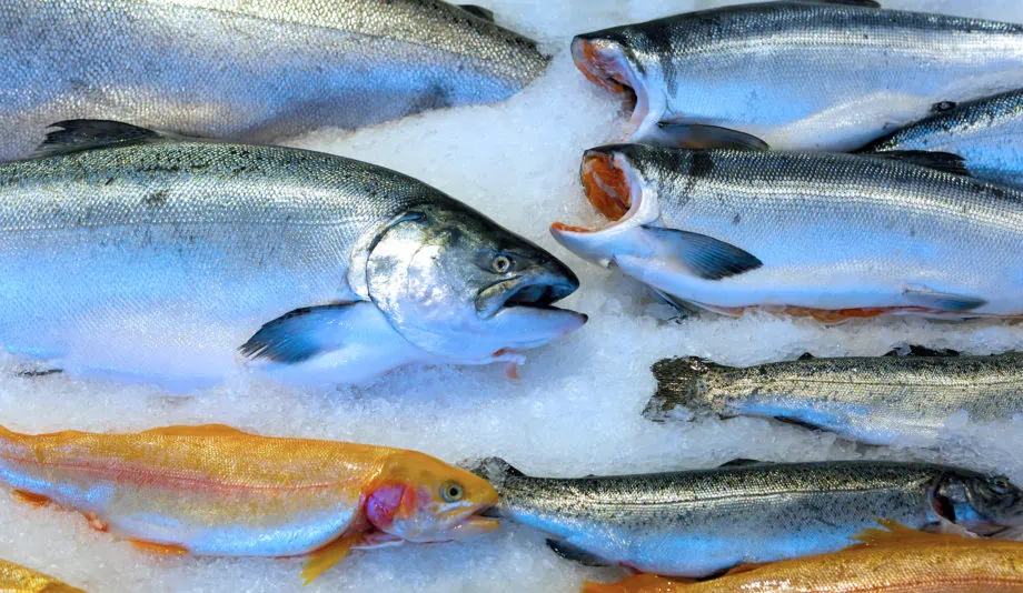 Copper River King Salmon® , sockeye and other fish