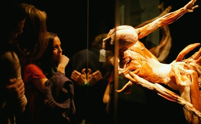 OMSI Image Body Worlds